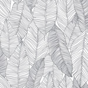 Papel tapiz hojas dibujadas blanco y negro