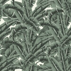 Papel tapiz hojas de la selva tropical verde grisáceo