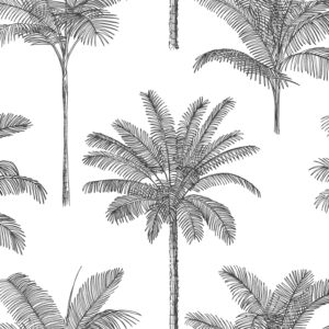 Papel tapiz palmeras blanco y negro