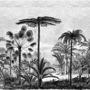 Fotomural de Papel tapiz XL paisaje con palmeras blanco y negro