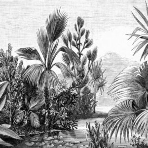 Fotomural de Papel tapiz XL paisaje tropical blanco y negro