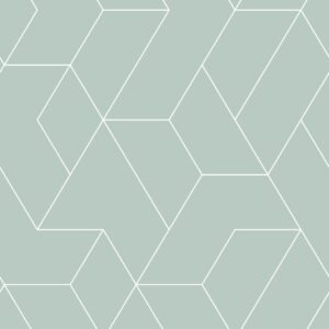 Fotomural de papel tapiz XL líneas gráficas verde grisáceo claro